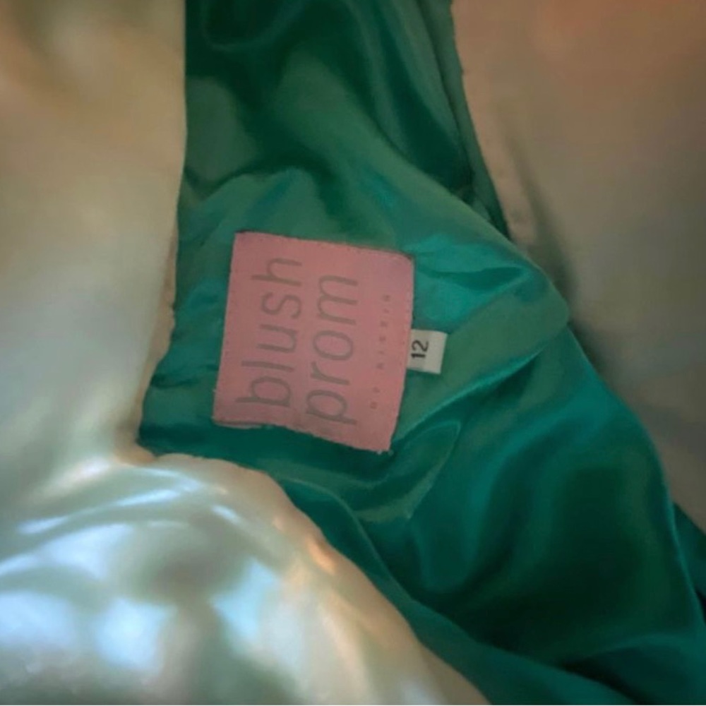 Prom Dress - Picture 7 of 7